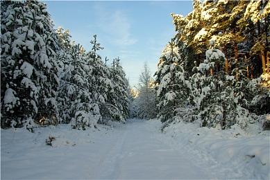传闻：《夺宝奇兵：古老之圈》销量并不理想